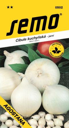 Cibuľa Agostana jarná  biela SEMO 0502