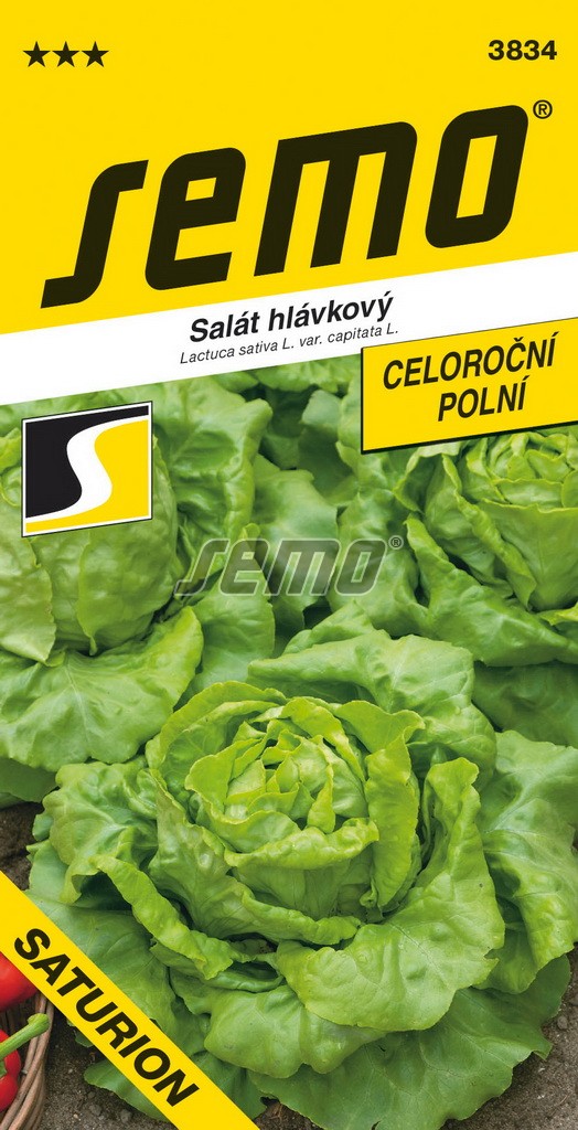 Šalát Saturion celoročný 25 SEMO 3834