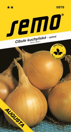 Cibuľa Augusta ozimná SEMO 0575