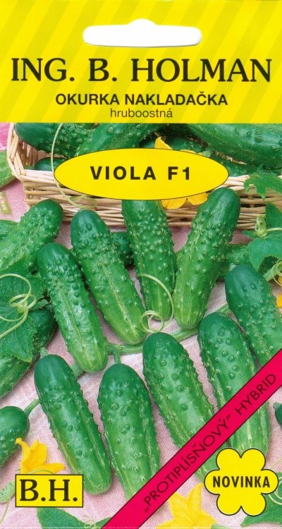 Uhorky nakl. Viola F1 H 2,5g HOLMAN