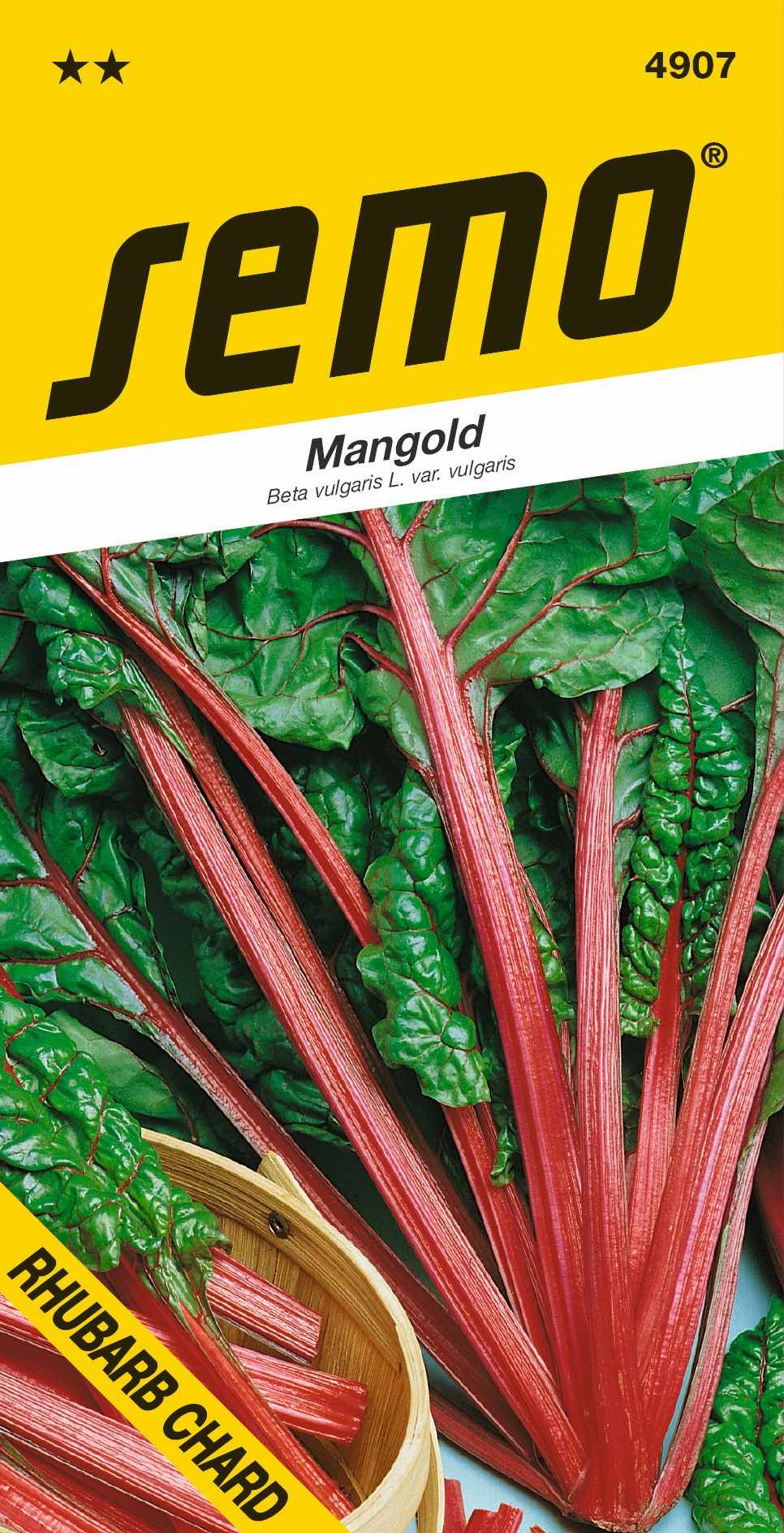 Mangold Rhubarb chard SEMO 4907