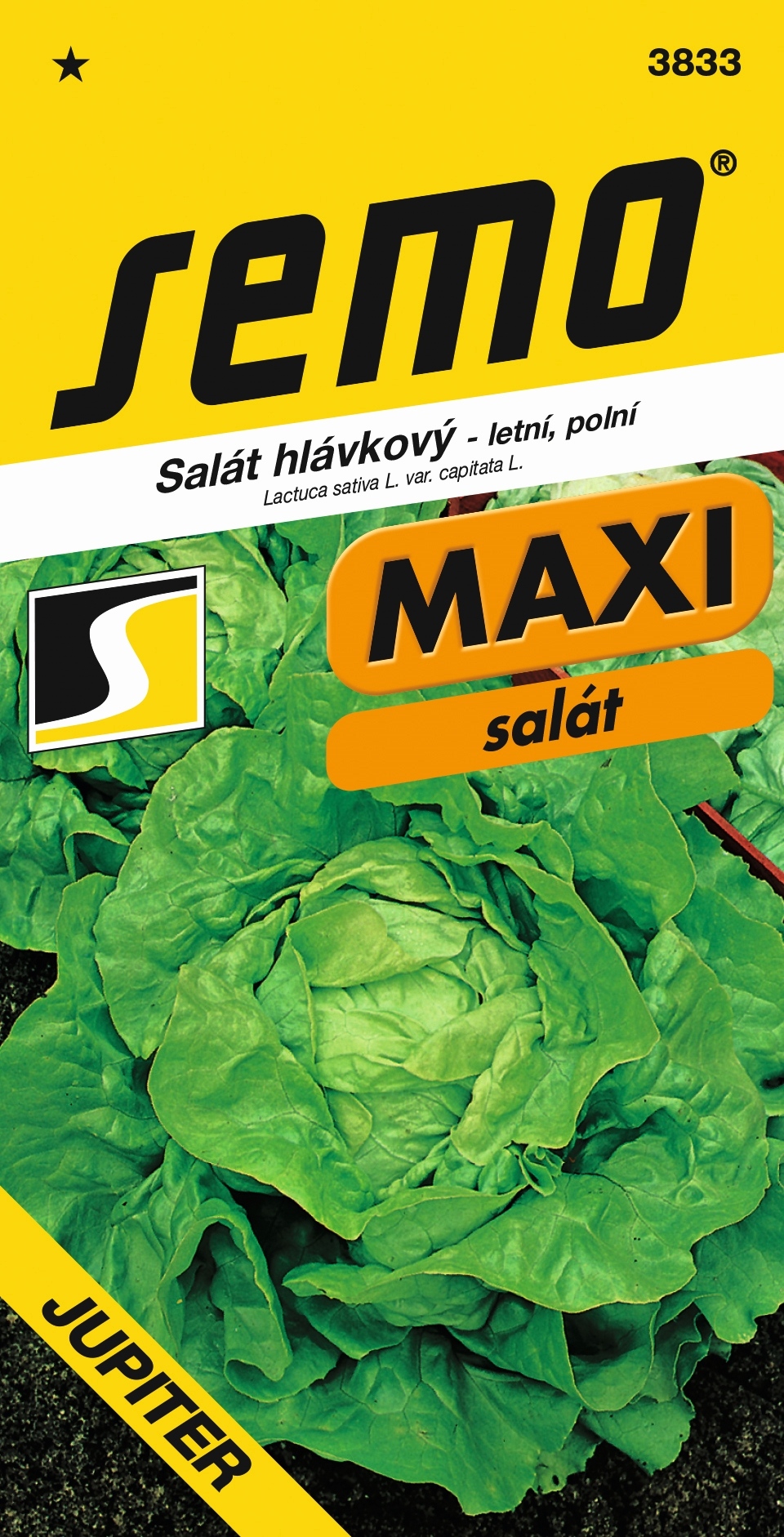 Šalát Jupiter letný MAXI SEMO 3833