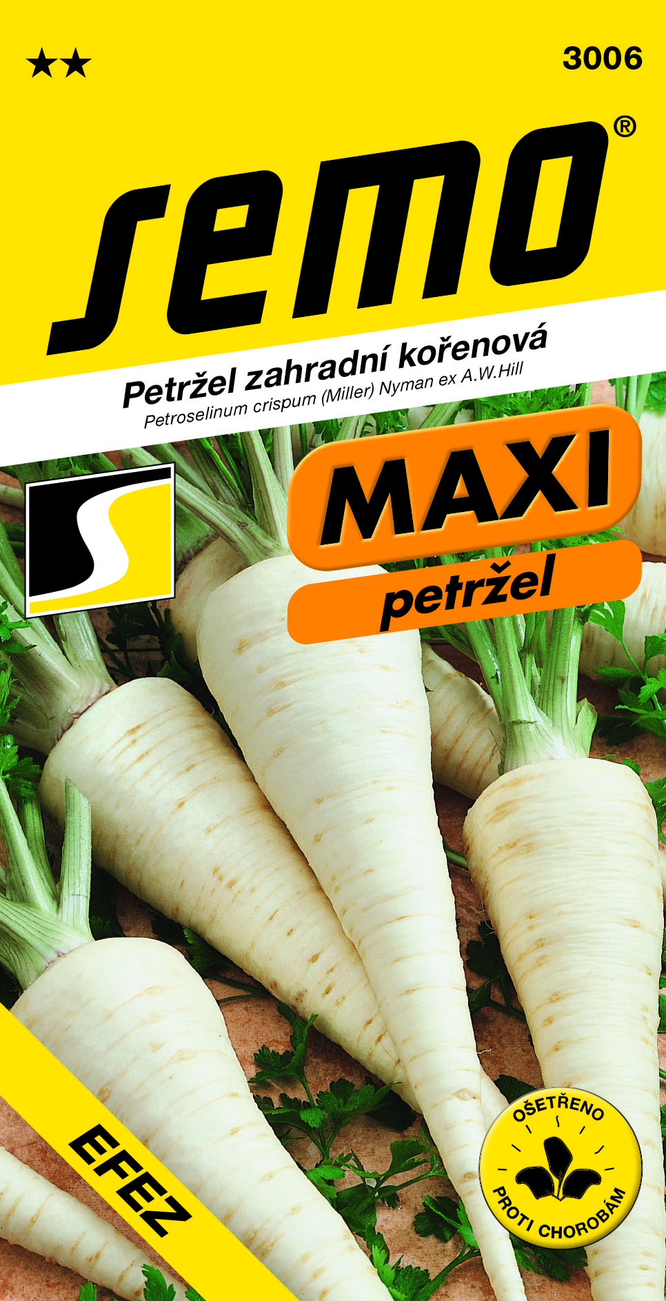 Petržlen kor. Efez MAXI SEMO 3006