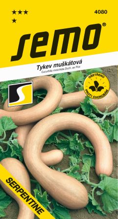 Tekvica Serpentine muškátová 24 SEMO 4080