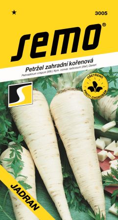 Petržlen kor. Jadran 25 SEMO 3005